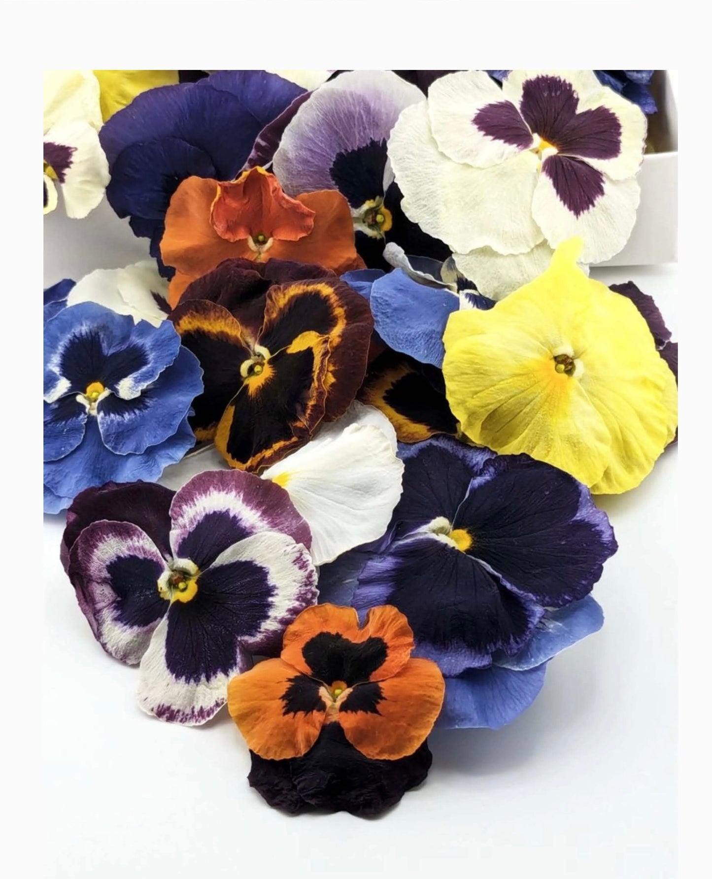 Freeze-Dried Edible Pansies